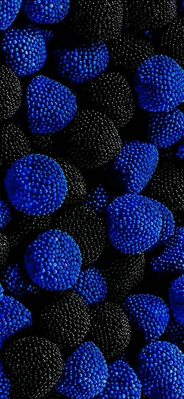 Textured black and blue sponge shape Background Wallpaper