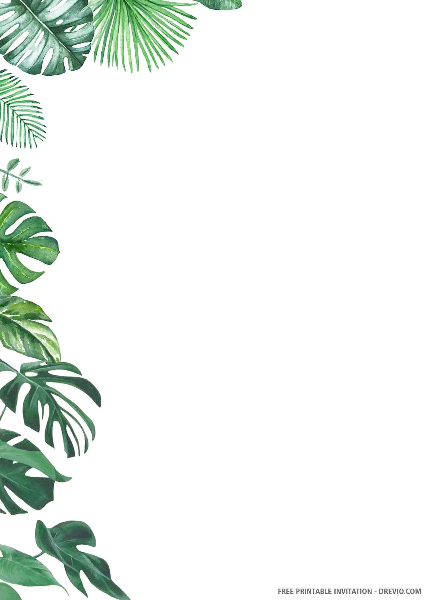 Tropical green leaves border on a clean white background