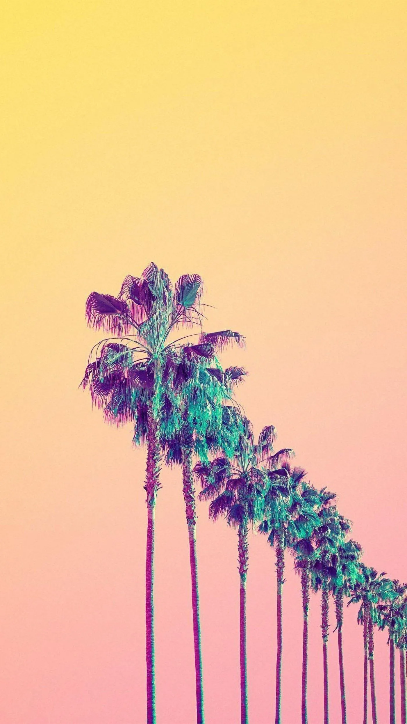 Tropical palm trees silhouette against a vibrant orange sky