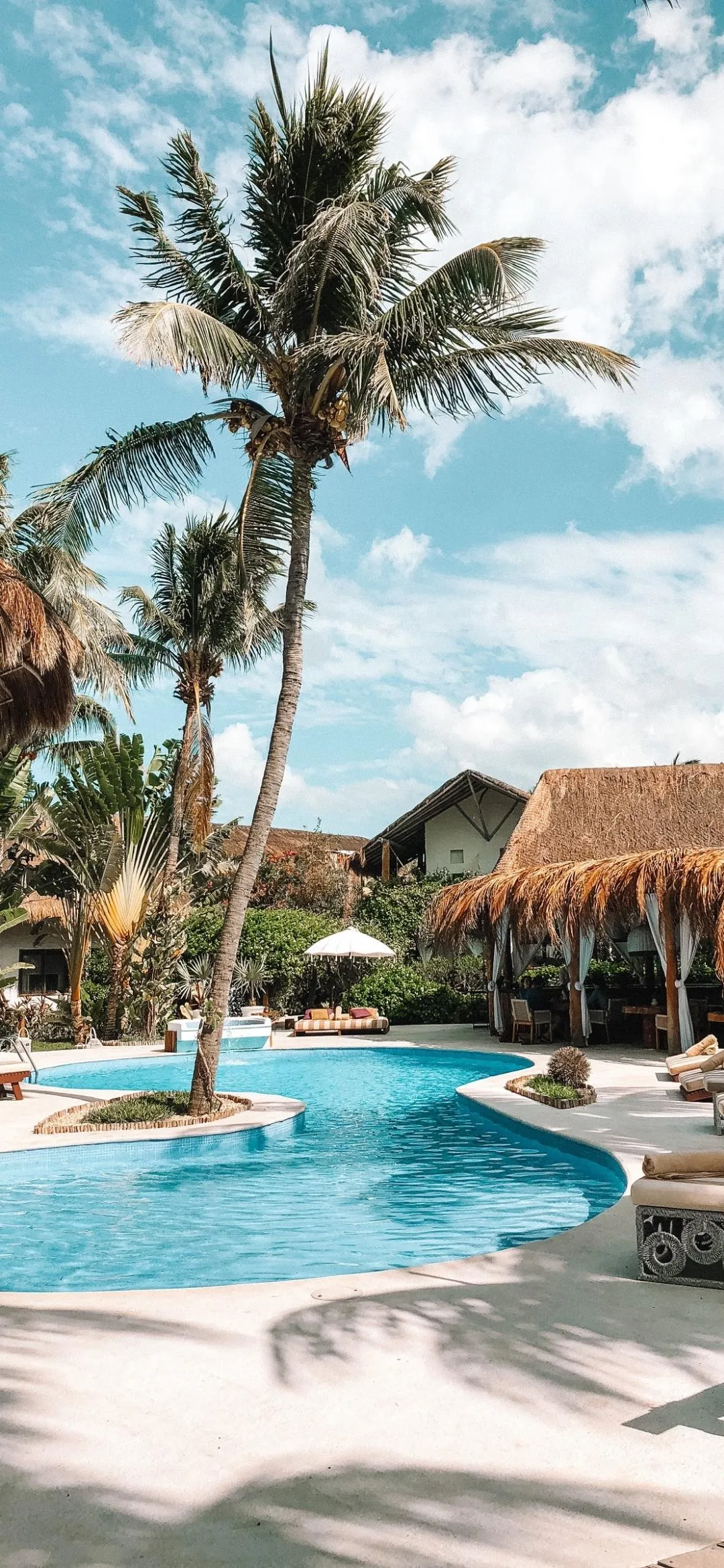 Tropical Resort with Palm Trees and Pool Wallpaper 4K