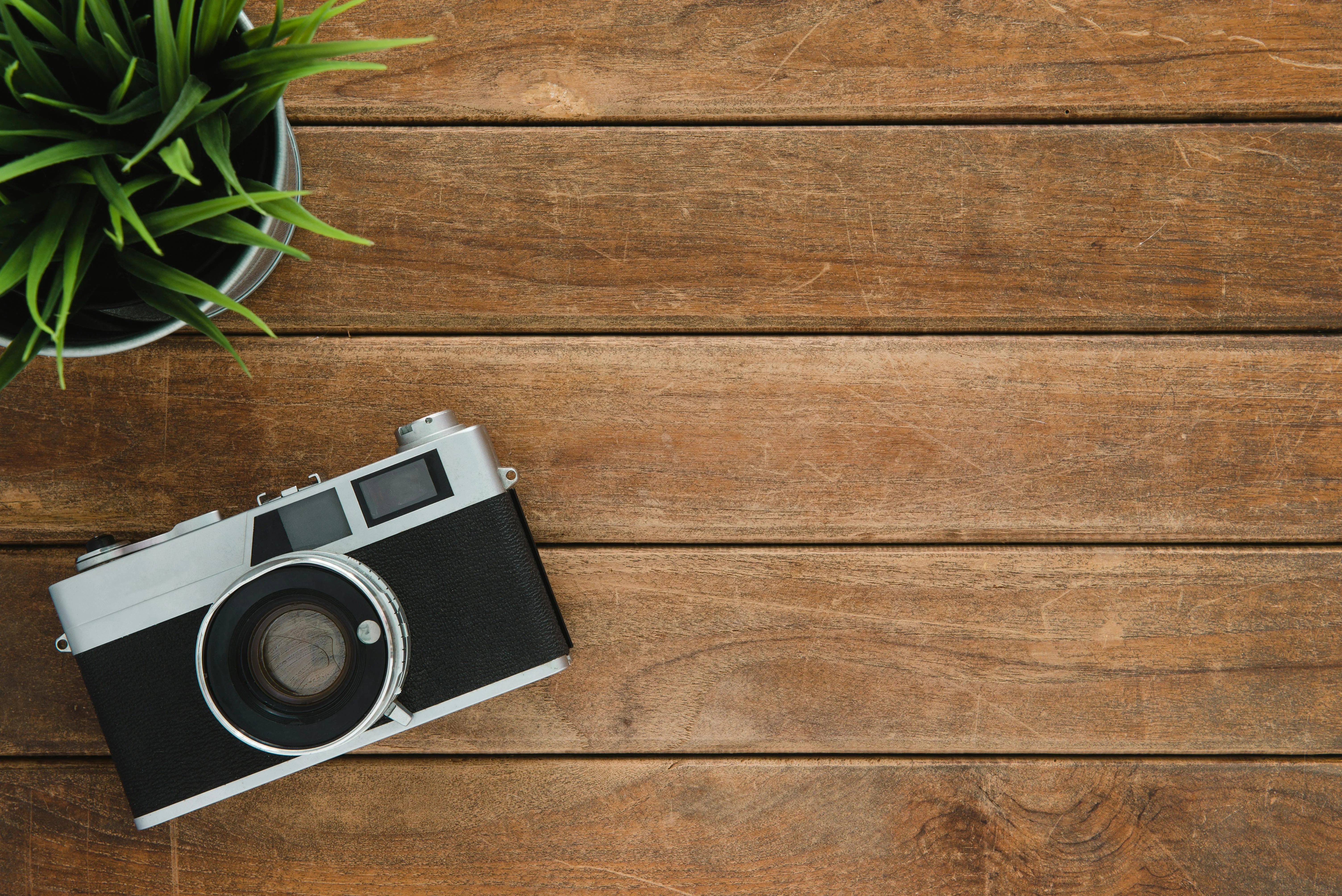 Vintage camera on rustic wooden table with green plant image