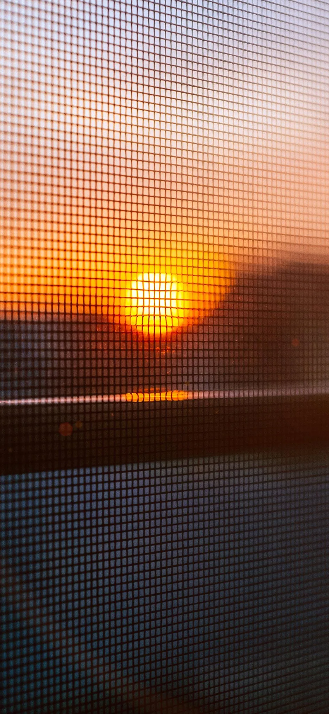 Warm Orange Sunset Viewed Through Mesh Screen Wallpaper
