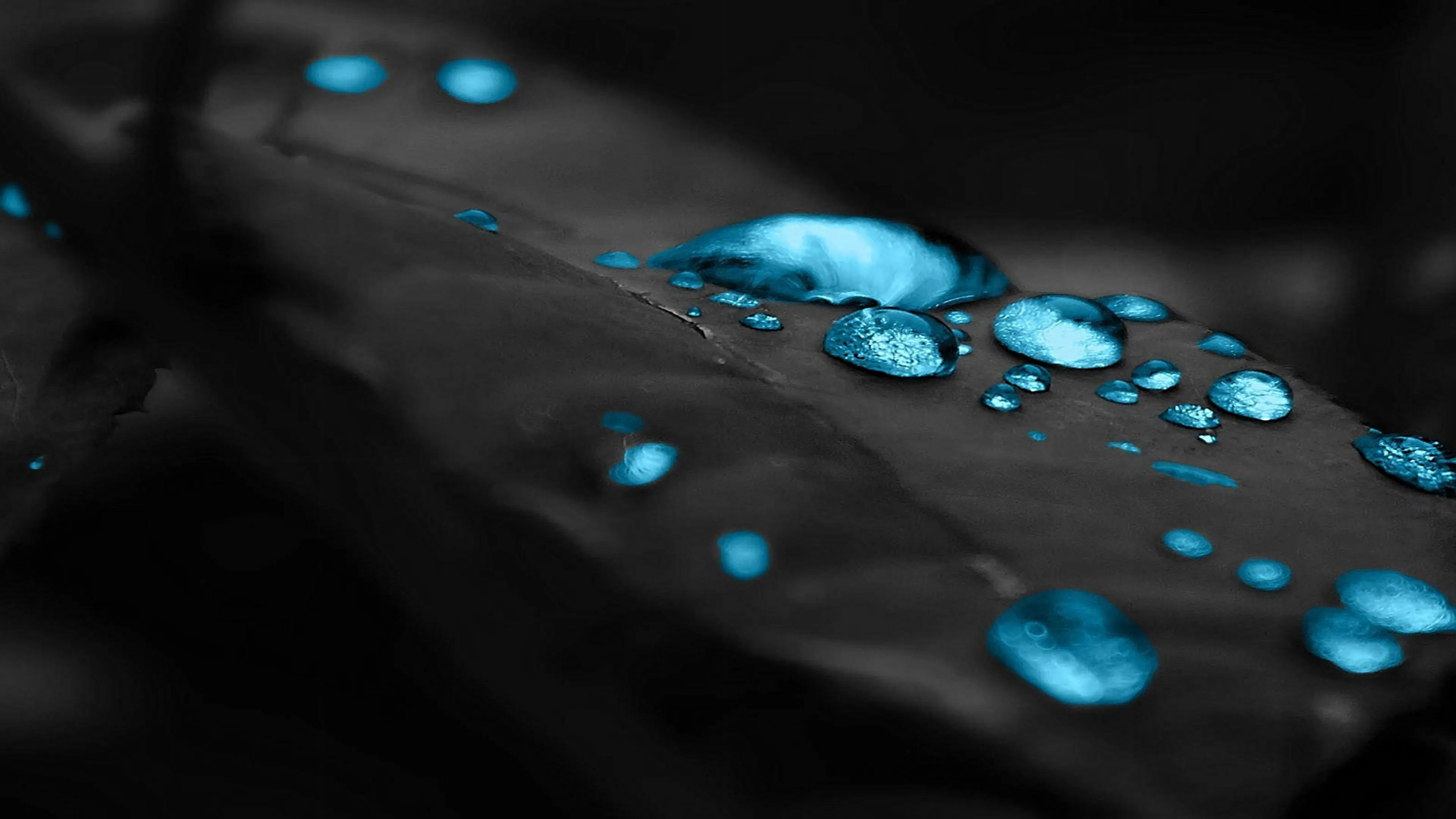Water droplets on a black surface in high detail Wallpaper