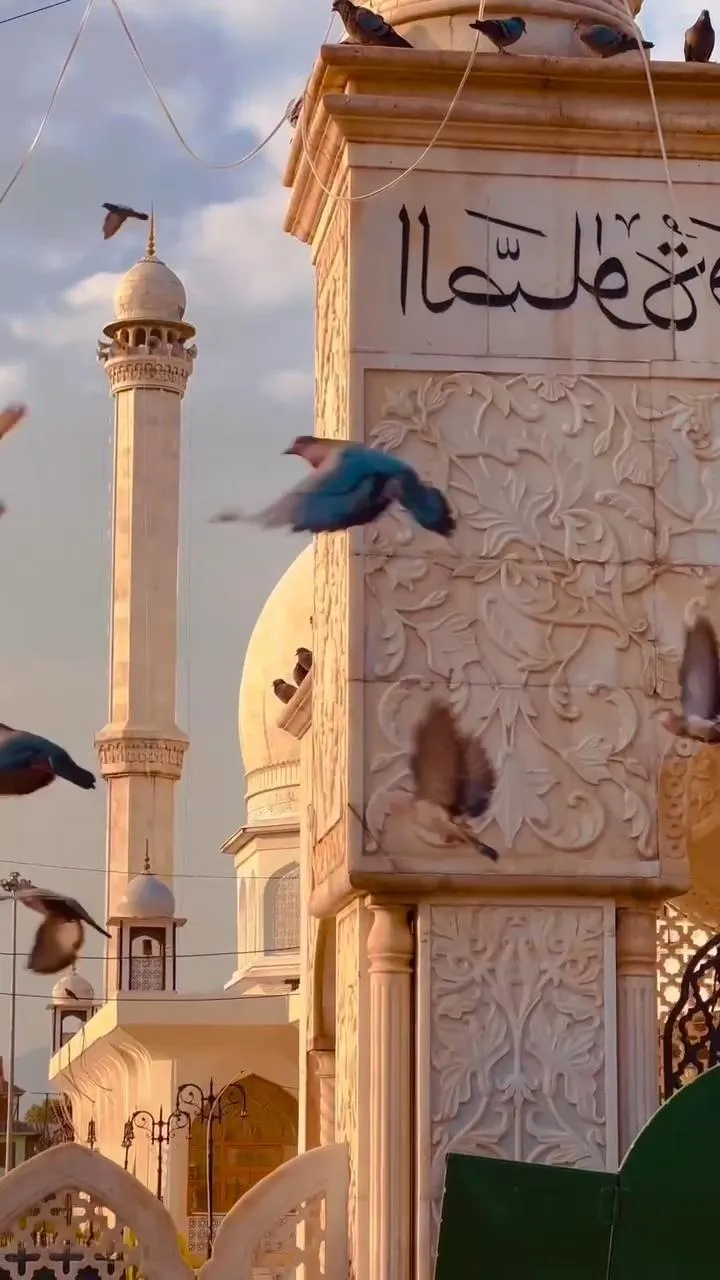 White mosque minaret with pigeons in golden hour light image