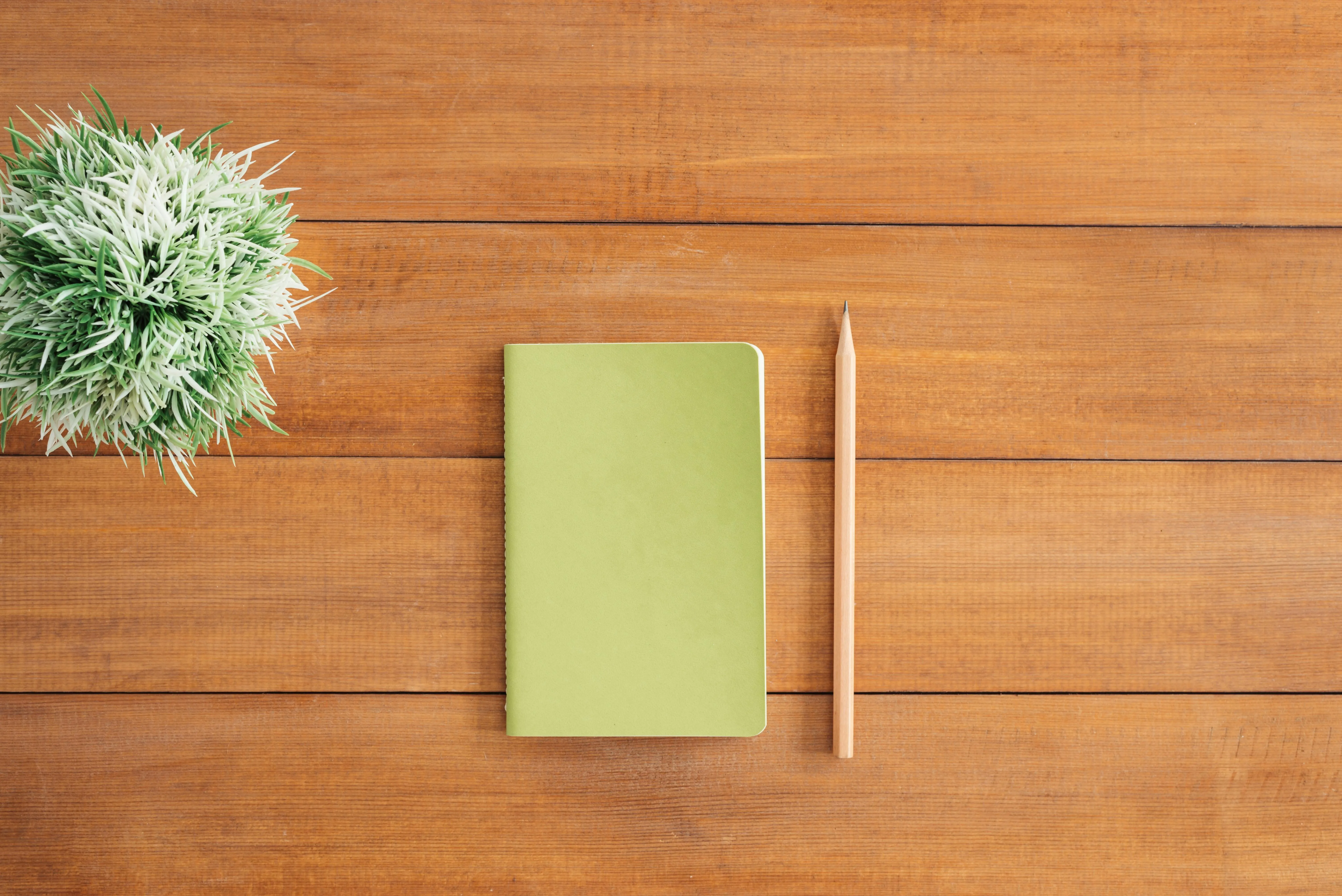 Wooden desk with green notebook plant and pencil top view