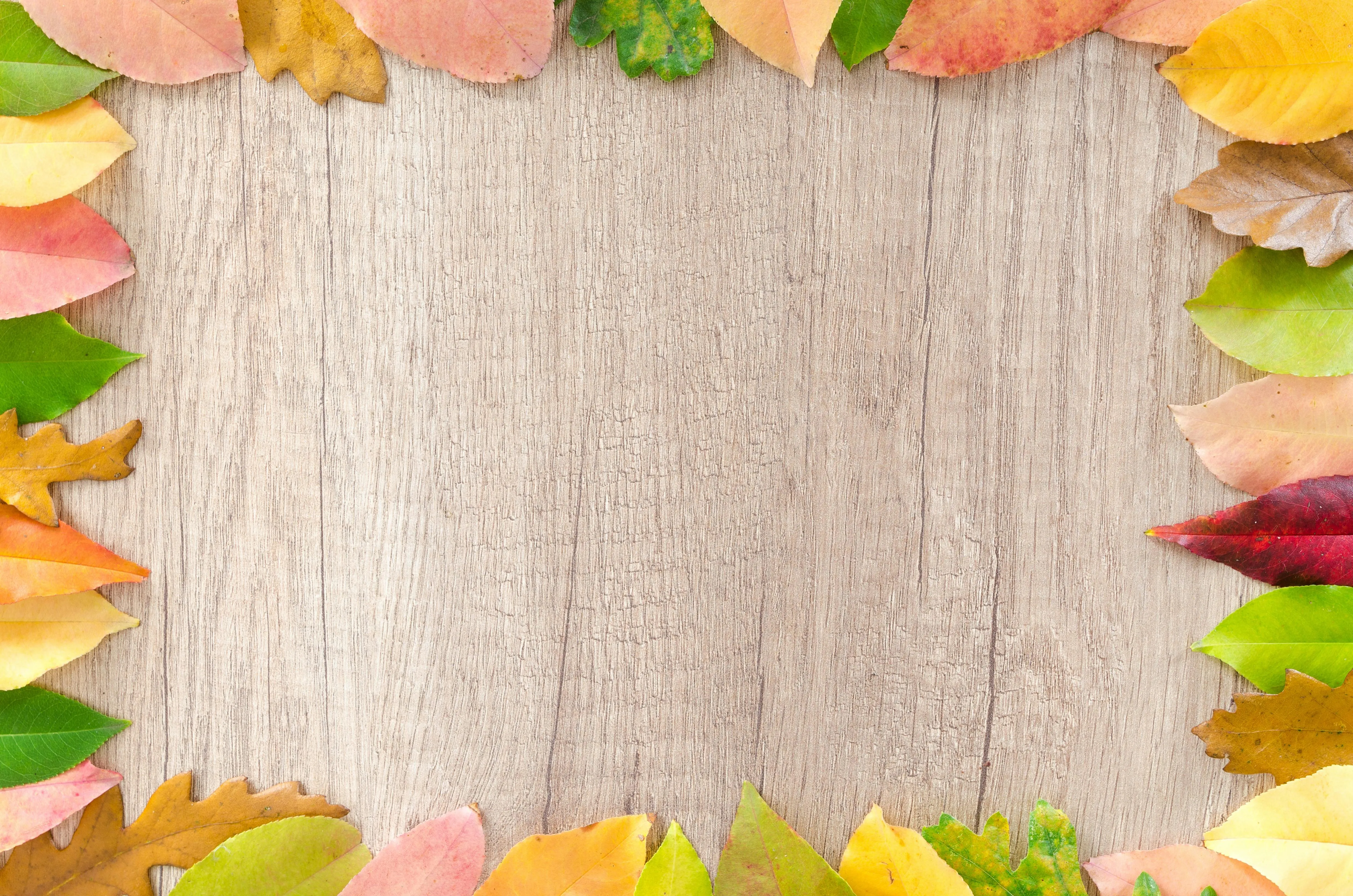 Wooden surface framed with colourful autumn leaves Wallpaper