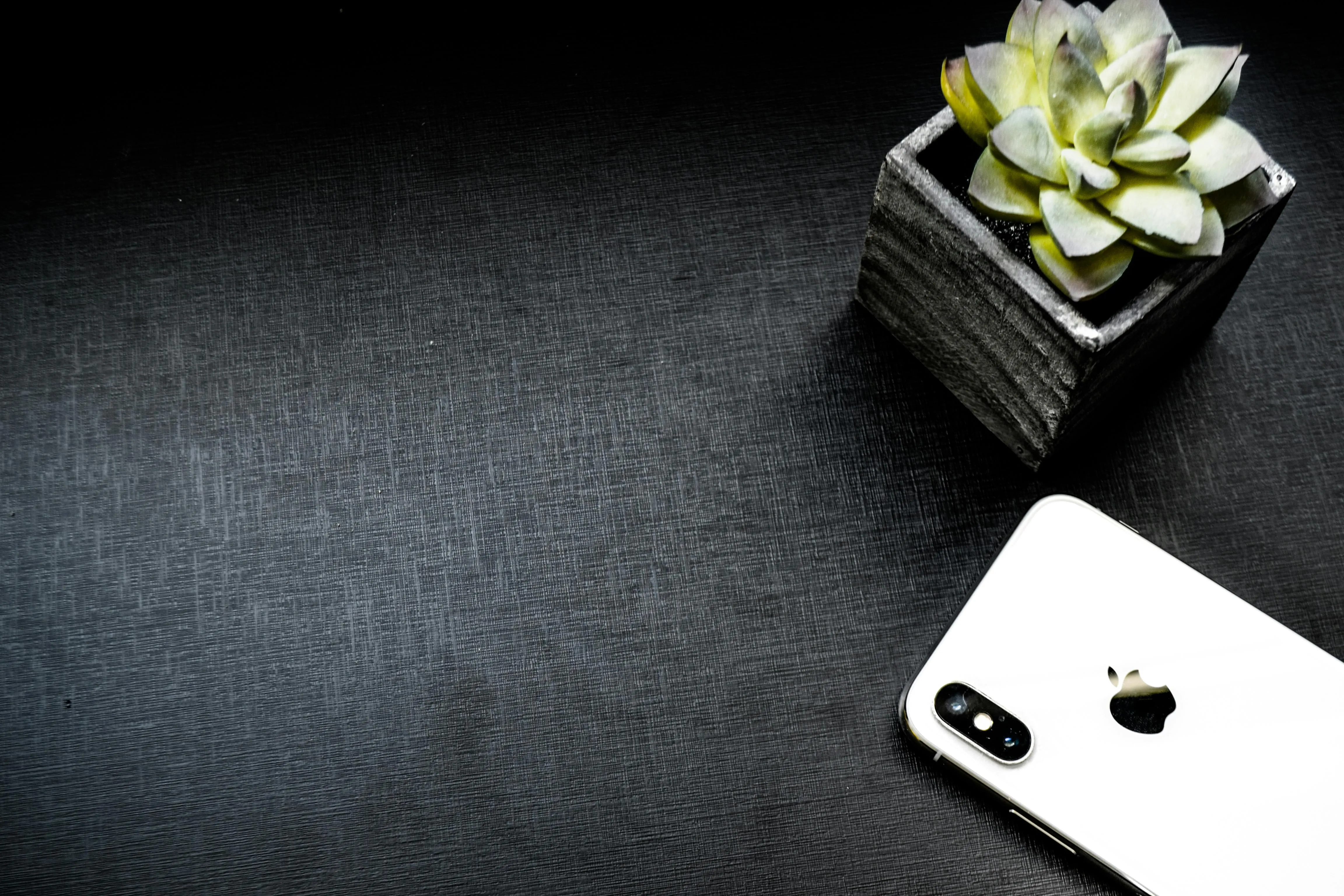 Workspace with phone and a small plant Background Wallpaper
