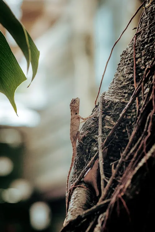 Bird Nesting in a Tree Branch with Bright Green Background