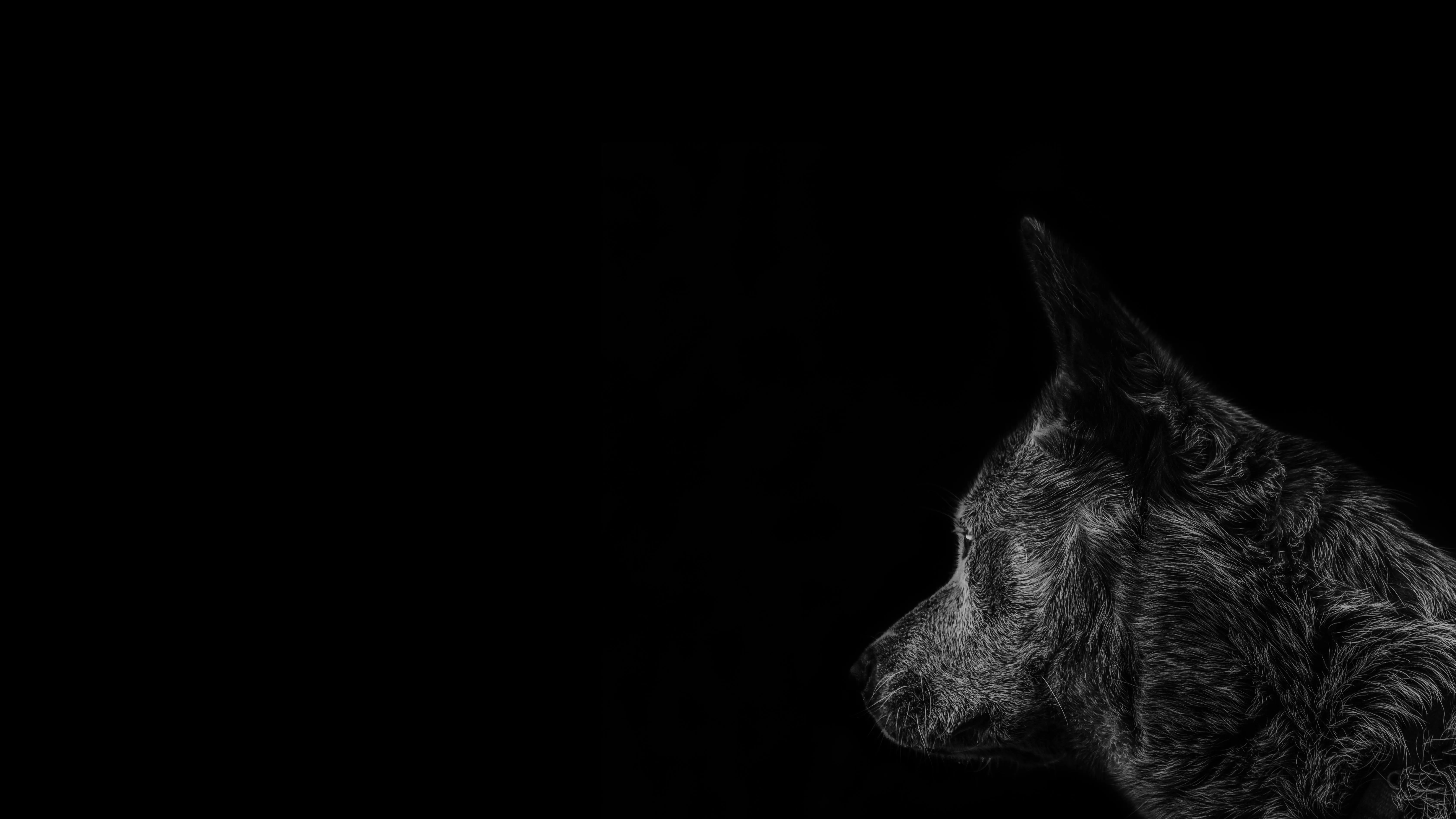 Black Background with Subtle Activated Watermark Text