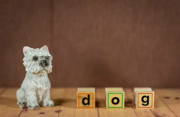 Ceramic Dog Figure with Wooden Blocks Spelling Dog Word Hd