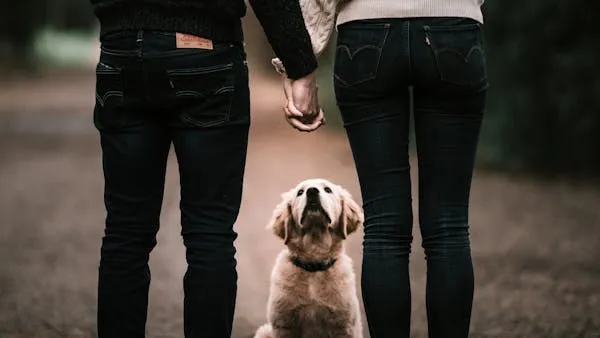 Couple Walking Hand in Hand with a Dog Between Them Image