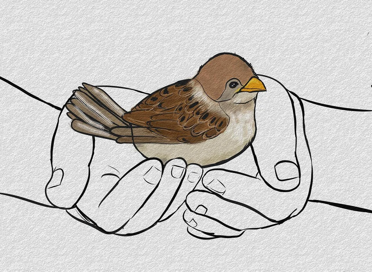 Drawing of Bird Perched on Hand With Leaves Wallpaper