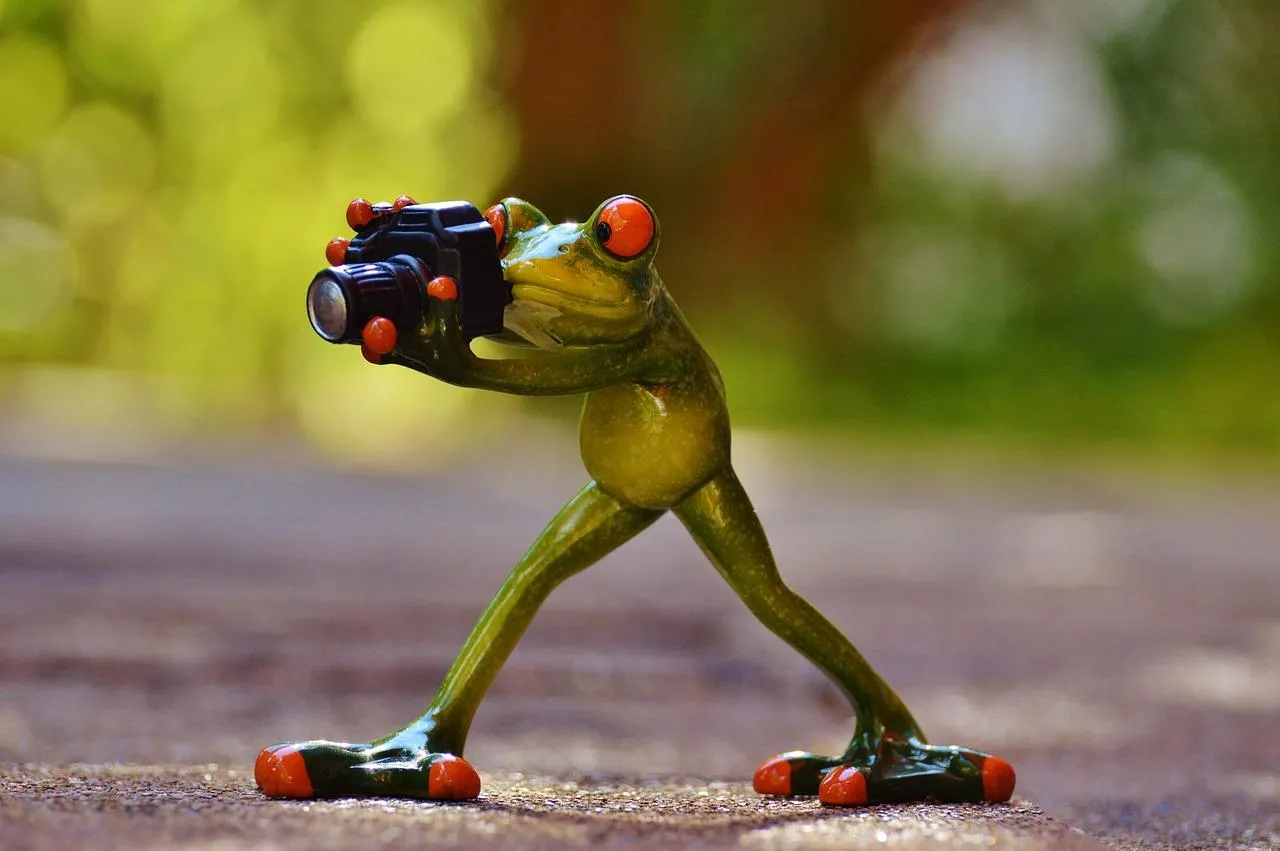 Funny Frog Figurine Holding Camera on Outdoor Surface