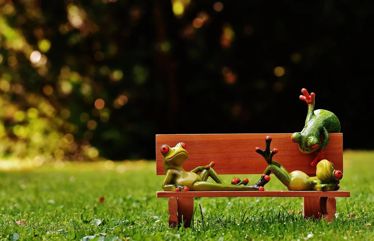 Green Tree Frog Relaxing on a Wooden Bench in Park