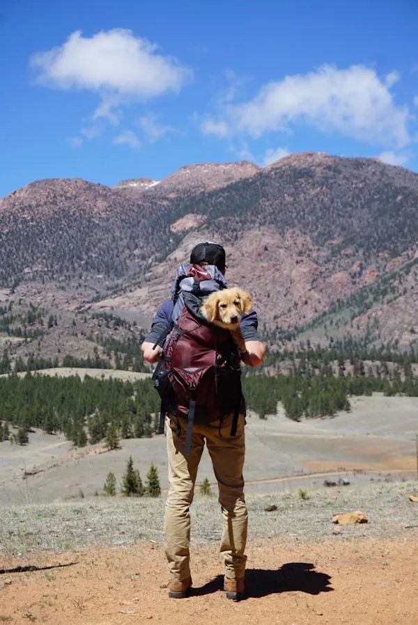 Hiker Carrying a Puppy on a Backpack Wallpaper Download