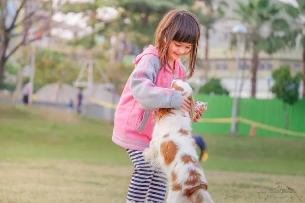 Little Girl Playing Happily with Her Playful Puppy Wallpaper