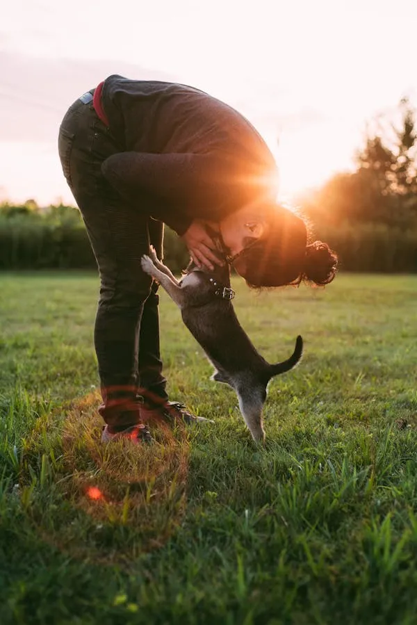 Man Bending Down and Hugging a Dog in Sunset Free Wallpaper