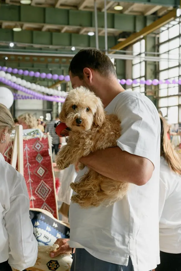 Man Holding Fluffy Dog at Market with Vibrant Decoration