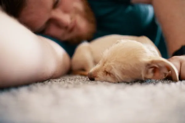 Man Lying Down Next To a Sleeping Puppy on Soft Carpet