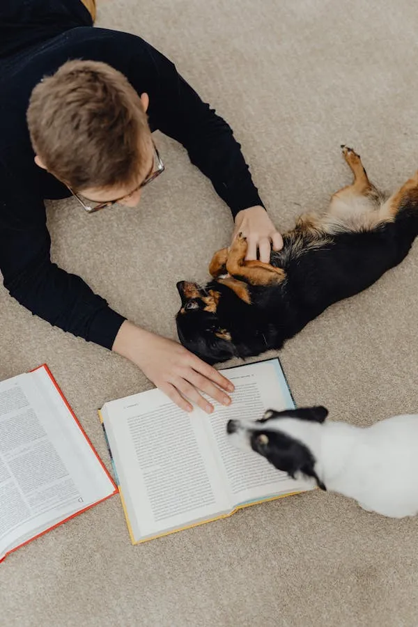 Man Studying on Floor with Two Playful Puppies Wallpaper