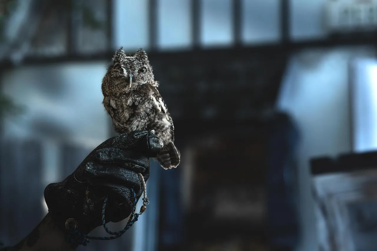 Owl Staring Intently with Bright Yellow Eyes Indoors