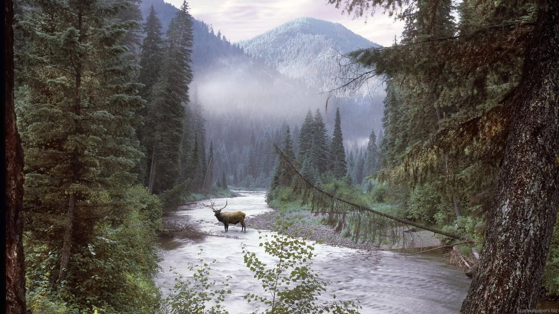 Peaceful Forest River with Mist and Mountain Backdrop