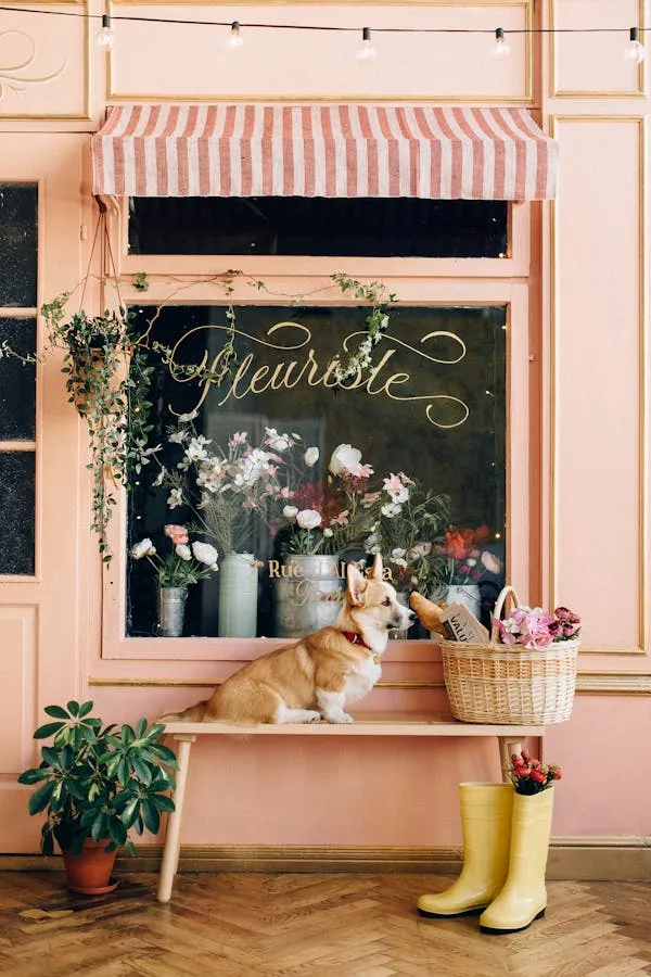 Portrait Of a Dog Sitting Near a Flower Shop with a Basket