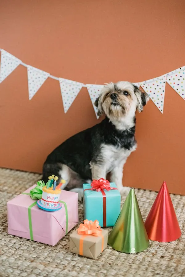 Puppy Birthday Party Setup with Gifts and Decorations
