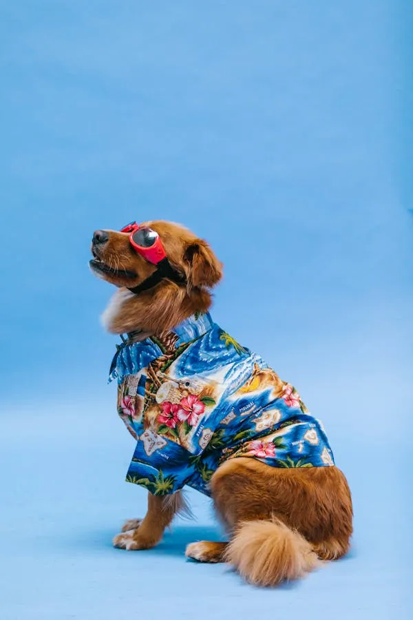 Puppy Dressed in a Colourful Shirt and Sunglasses on Blue