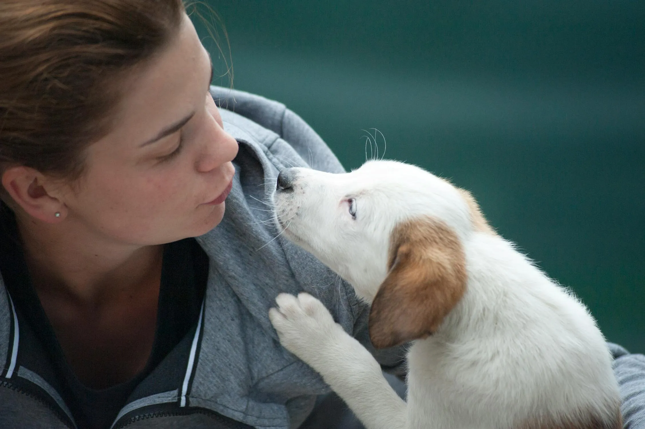 Puppy Giving An Affectionate Kiss To a Woman Free Wallpaper