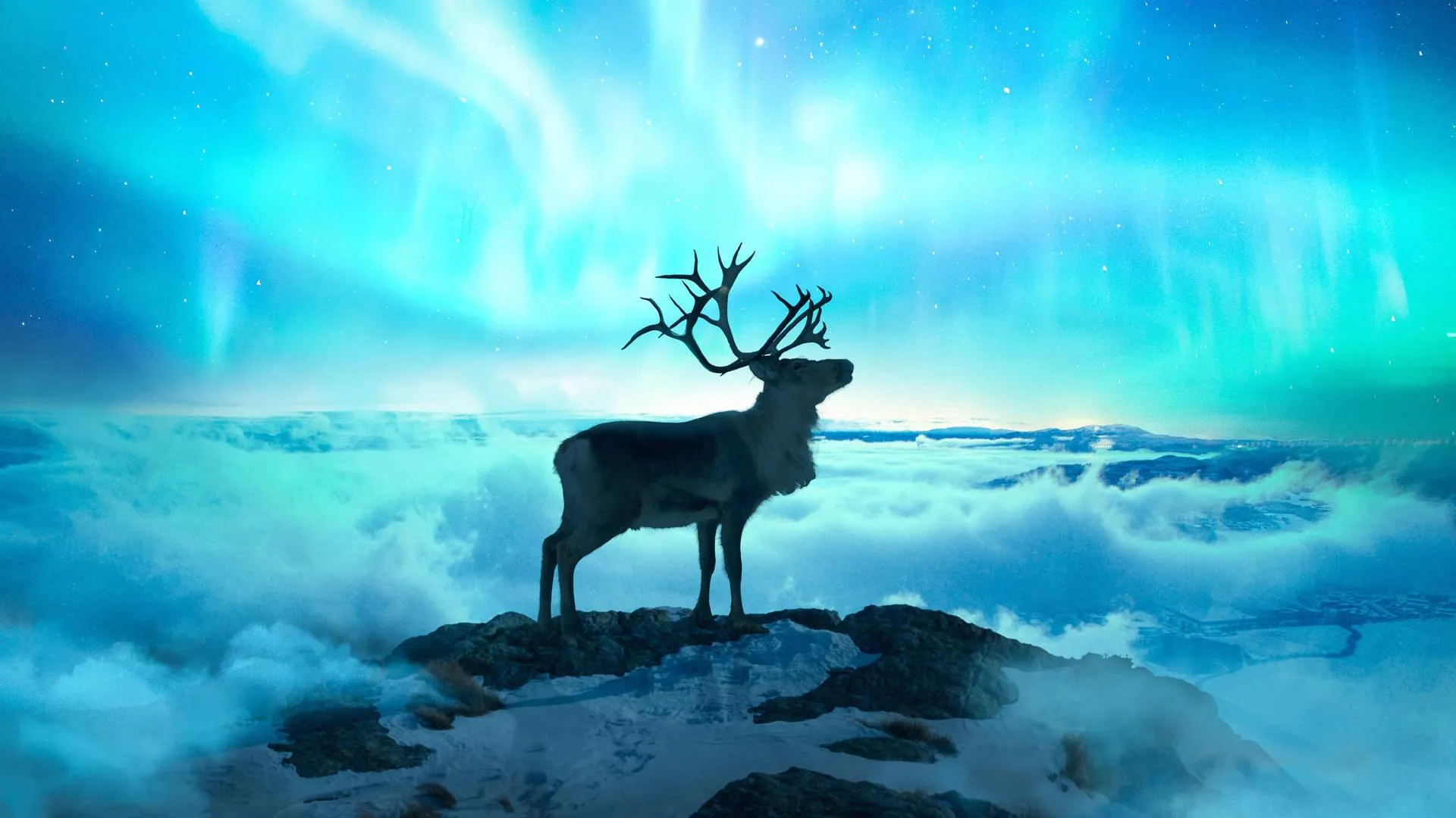 Reindeer Standing Proud Beneath Northern Lights Sky