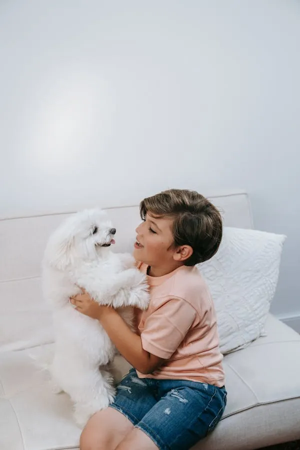 Small Child Happily Playing with a Fluffy White Puppy