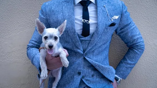 Small White Dog Held By a Man in a Blue Suit Wallpaper