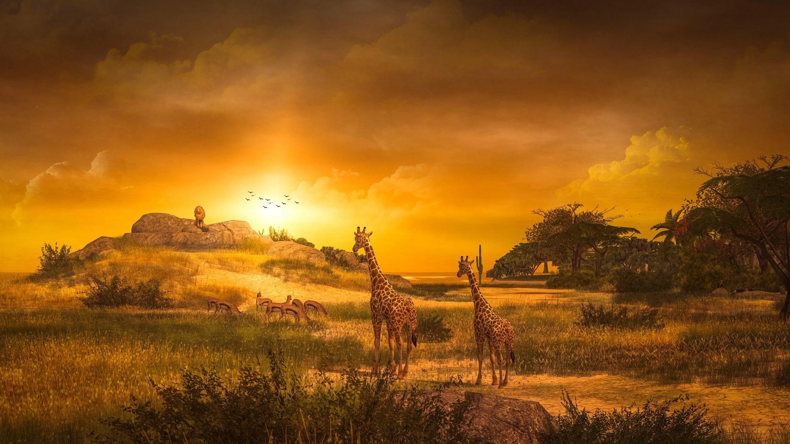 Stunning Sunrise over Scenic Wildlife Landscape Wallpaper