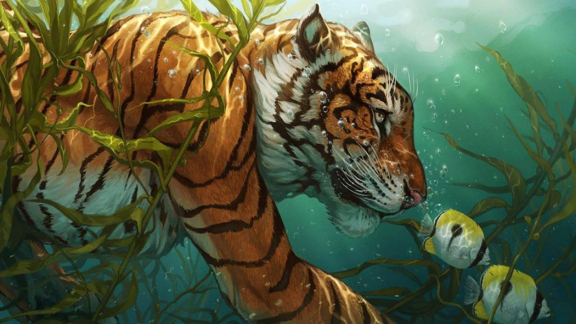 Tiger swimming toward camera underwater view Wallpaper