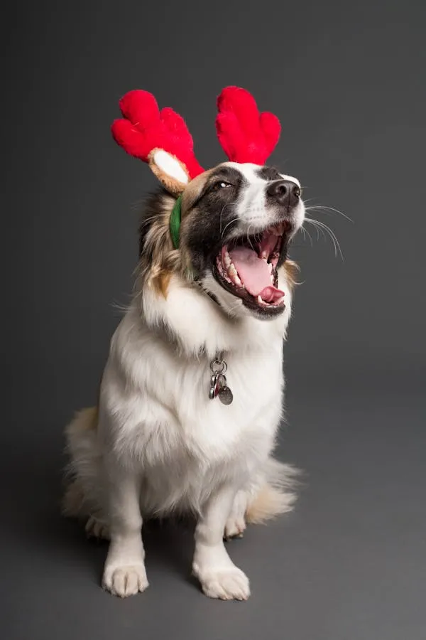 White Dog with Red Reindeer Antlers Smiling Wallpaper