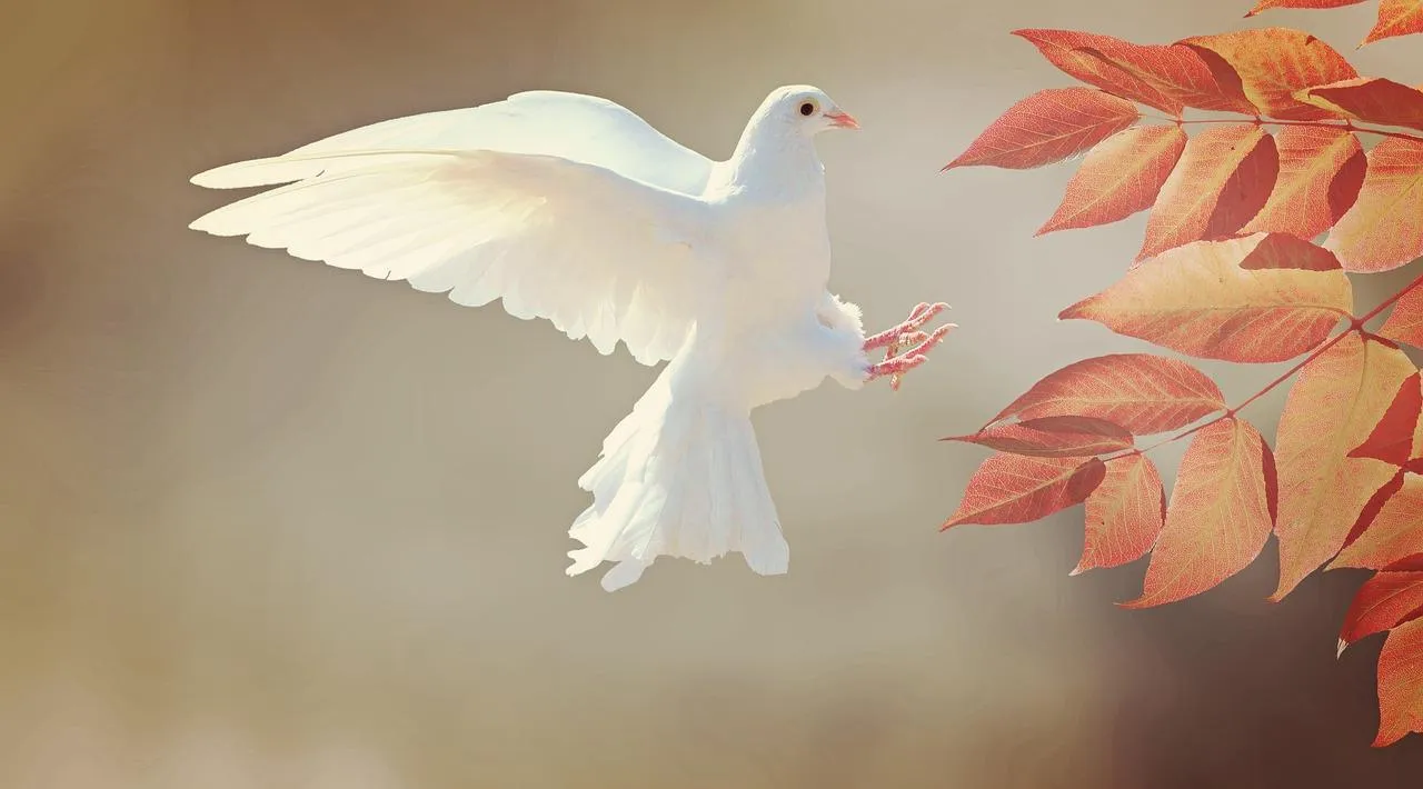 White Dove Flying Near Orange Autumn Leaves Wallpaper