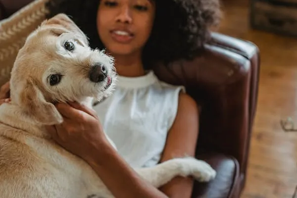 Woman Cuddling Her Happy Dog While Sitting on a Sofa Image
