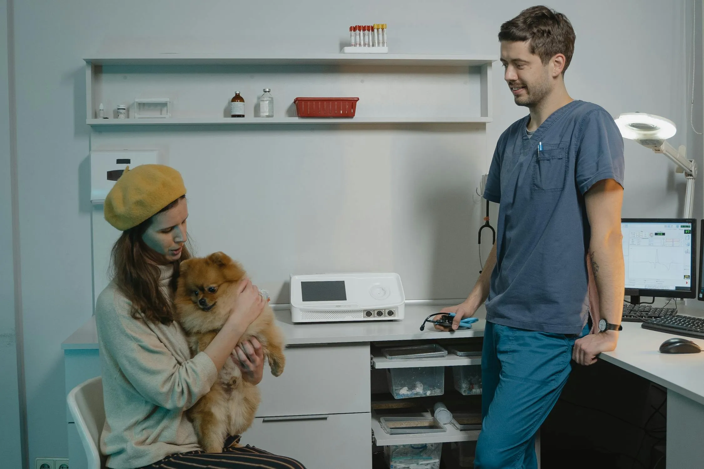 Woman Holding a Brown Dog While Talking To a Veterinarian