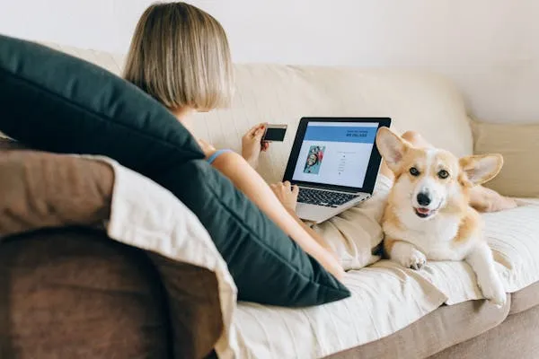 Woman Sitting on Sofa with a Corgi Using a Laptop Hd Image