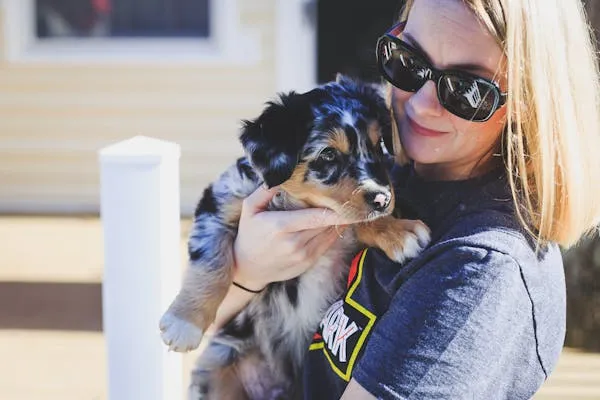 Woman with Sunglasses Holding Black and Brown Puppy Image