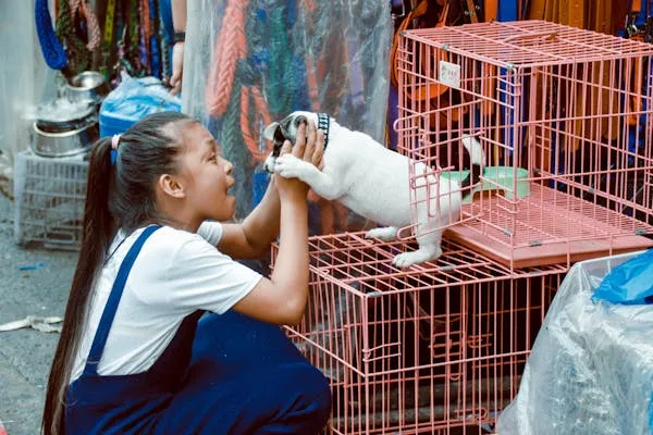 Young Girl Interacting with White Puppy Inside Pink Cage