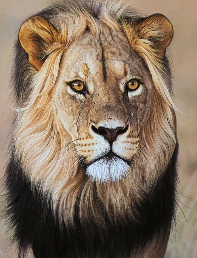 African Lion Digital Artwork HD Wallpaper Free Download