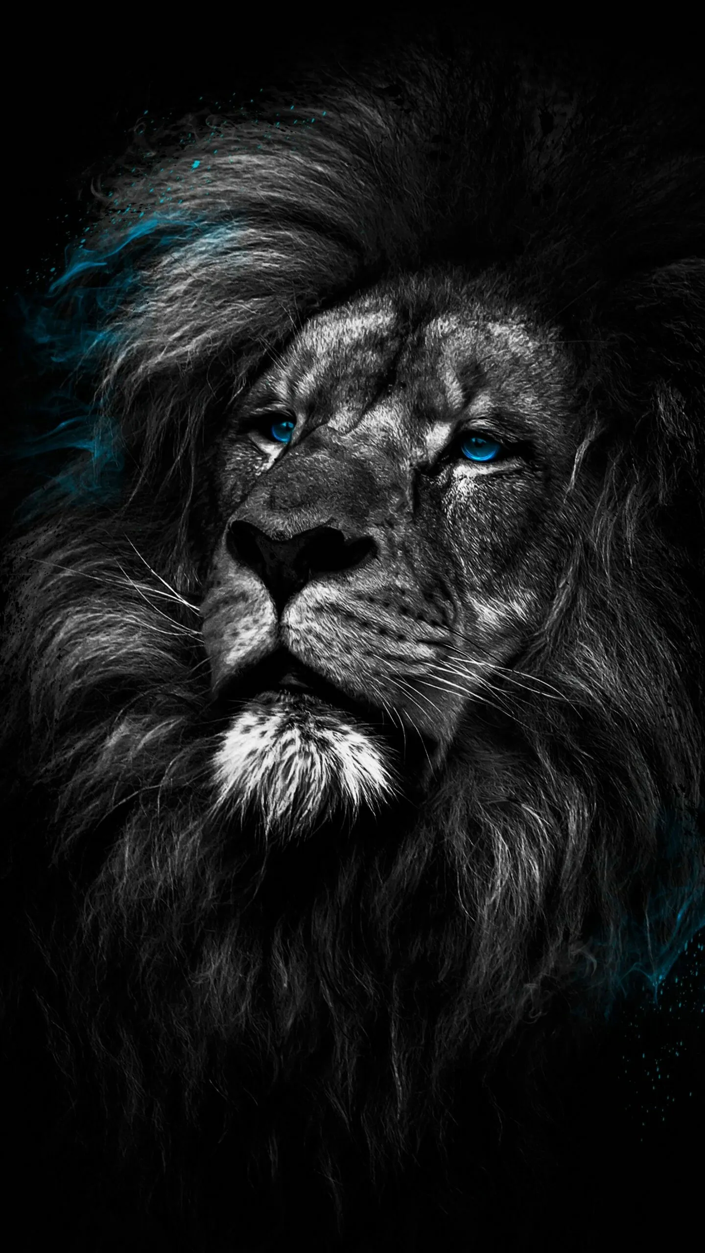Black and White Image of a Lion with Blue Eyes HD Wallpaper