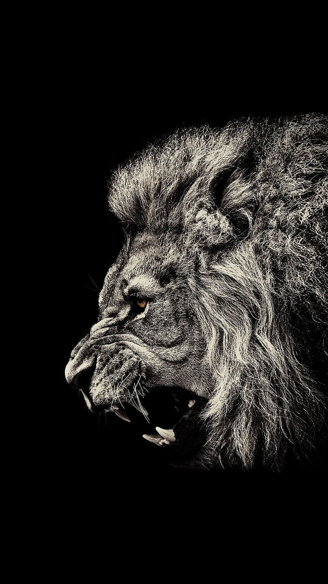 Black and White Lion Illustration on a Black Background