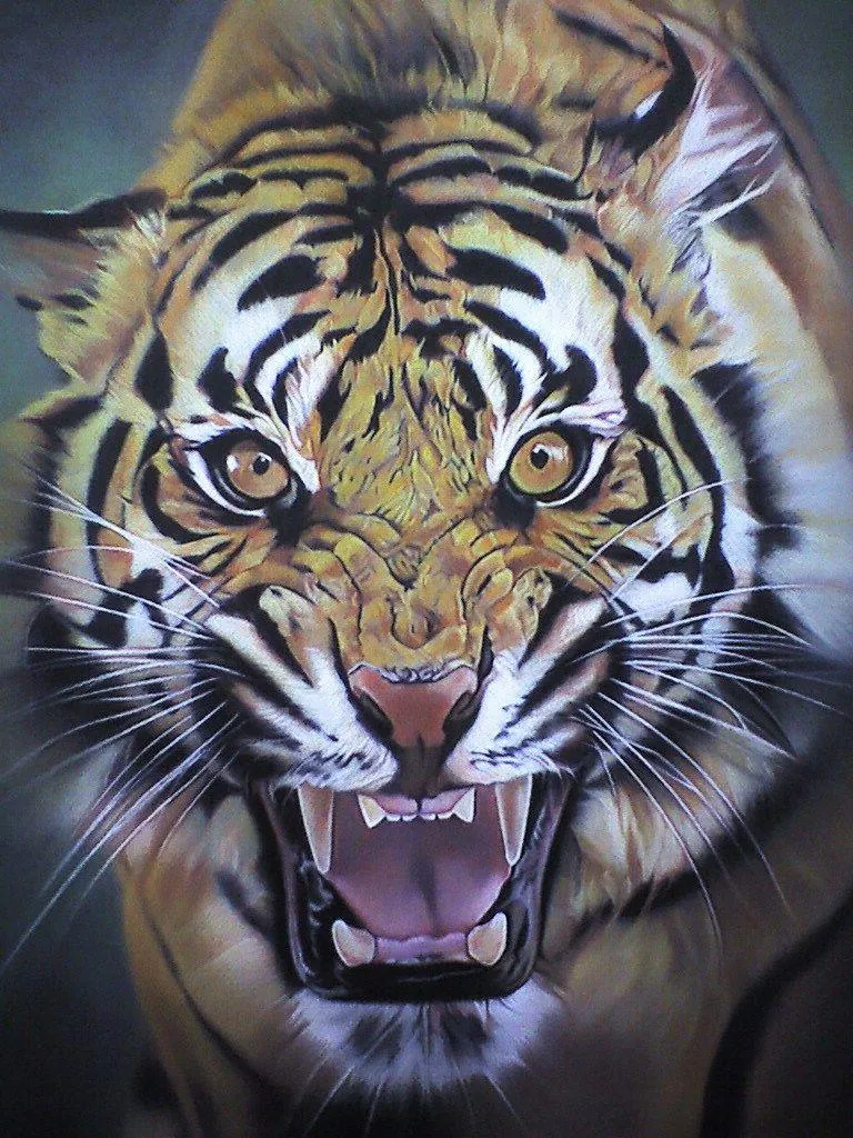 Fearless Tiger With Powerful Roar Mobile Wallpaper For Free