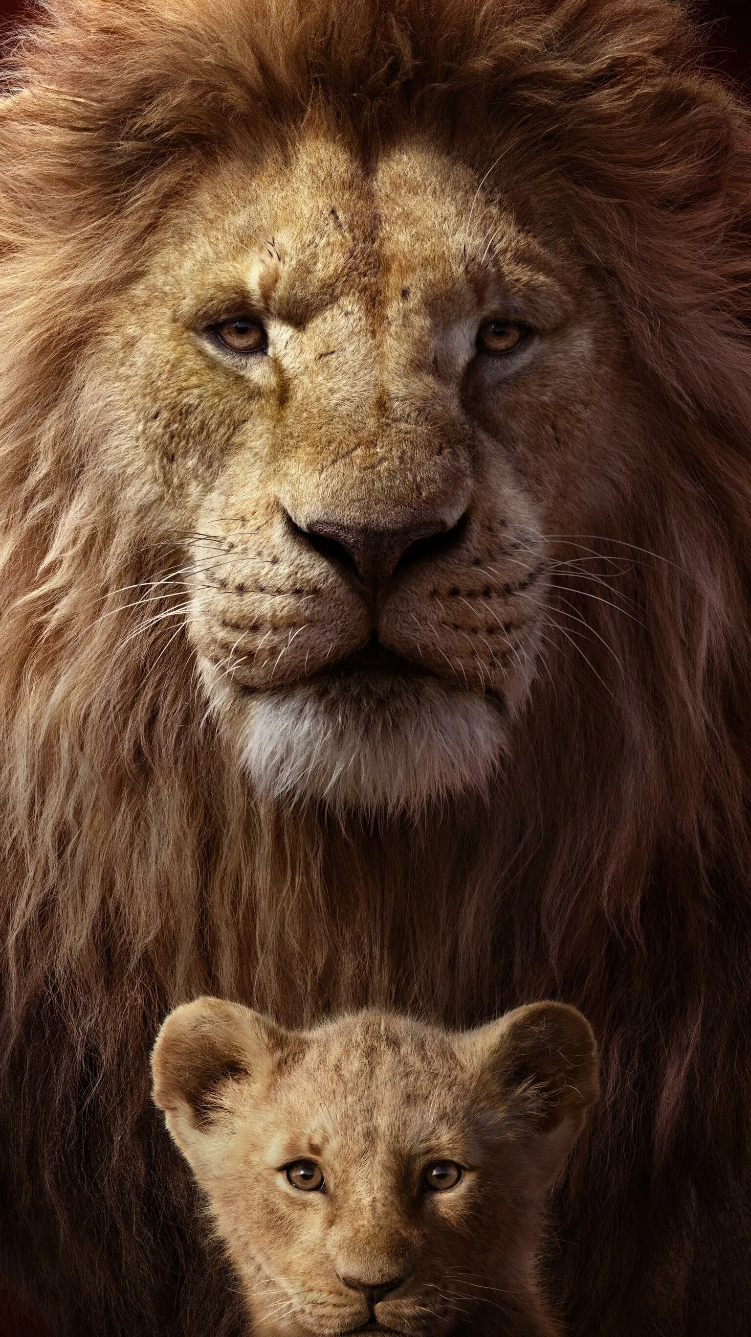 The King of the Jungle and His Cub Wildlife Free Wallpaper