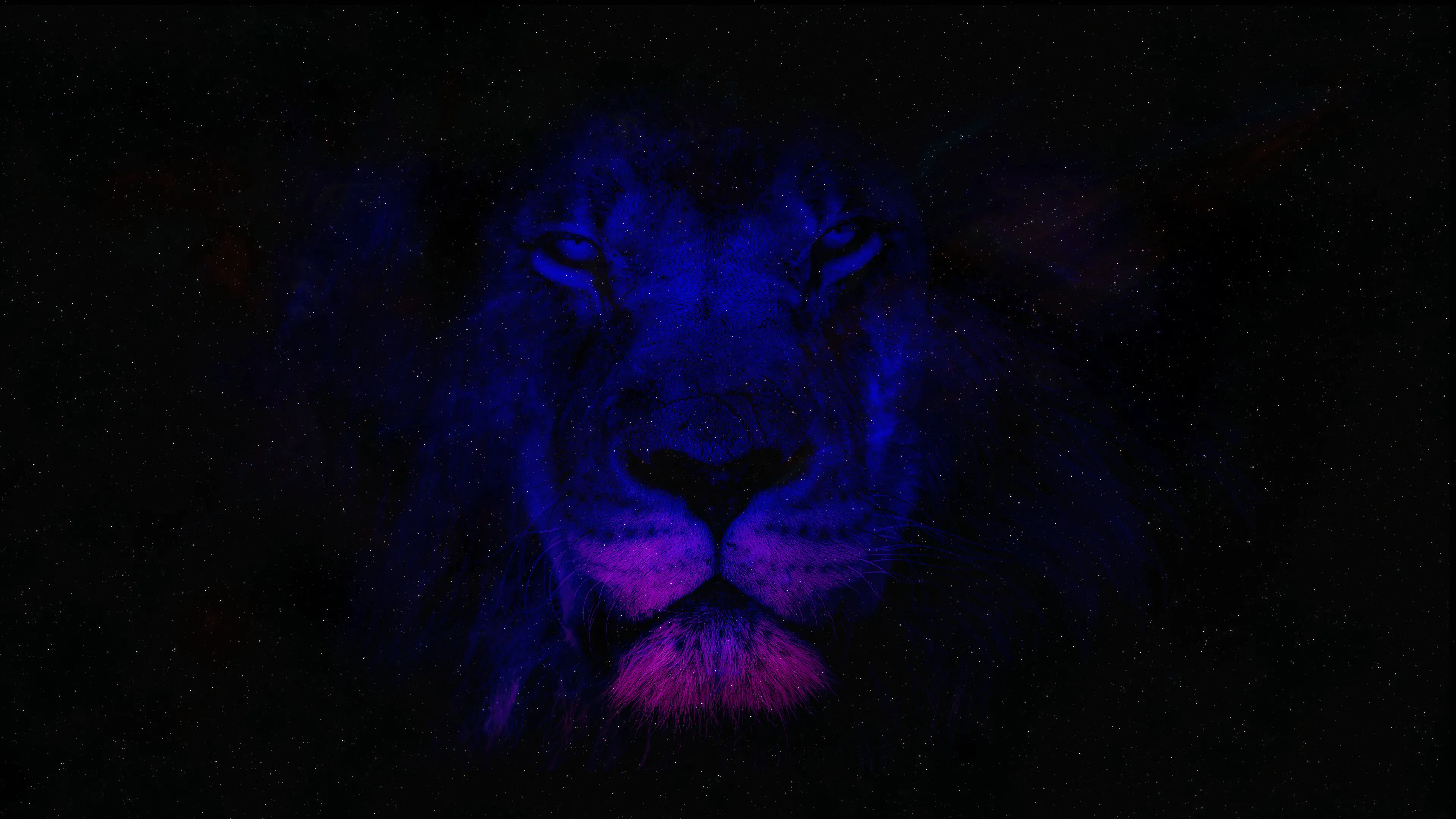 Lion Close Up Image in Blue Low Light Free Wallpaper