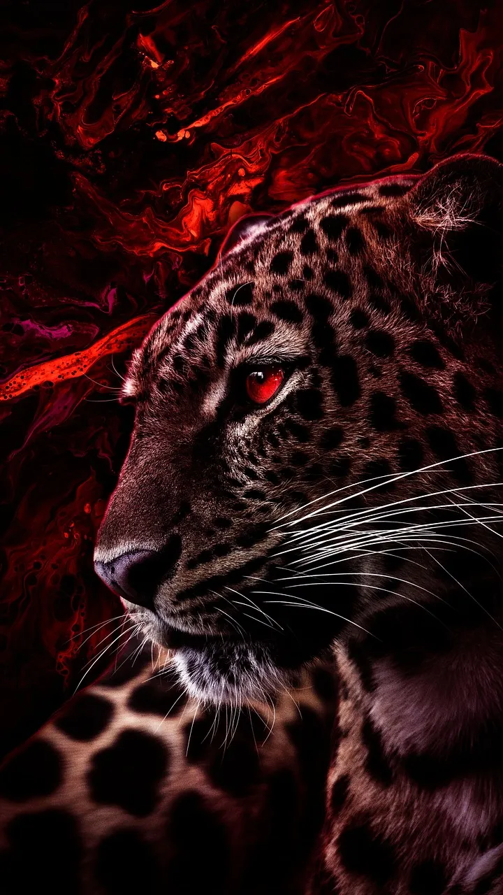 Red Highlights of Fierce Leopard with Red Eyes Wallpaper