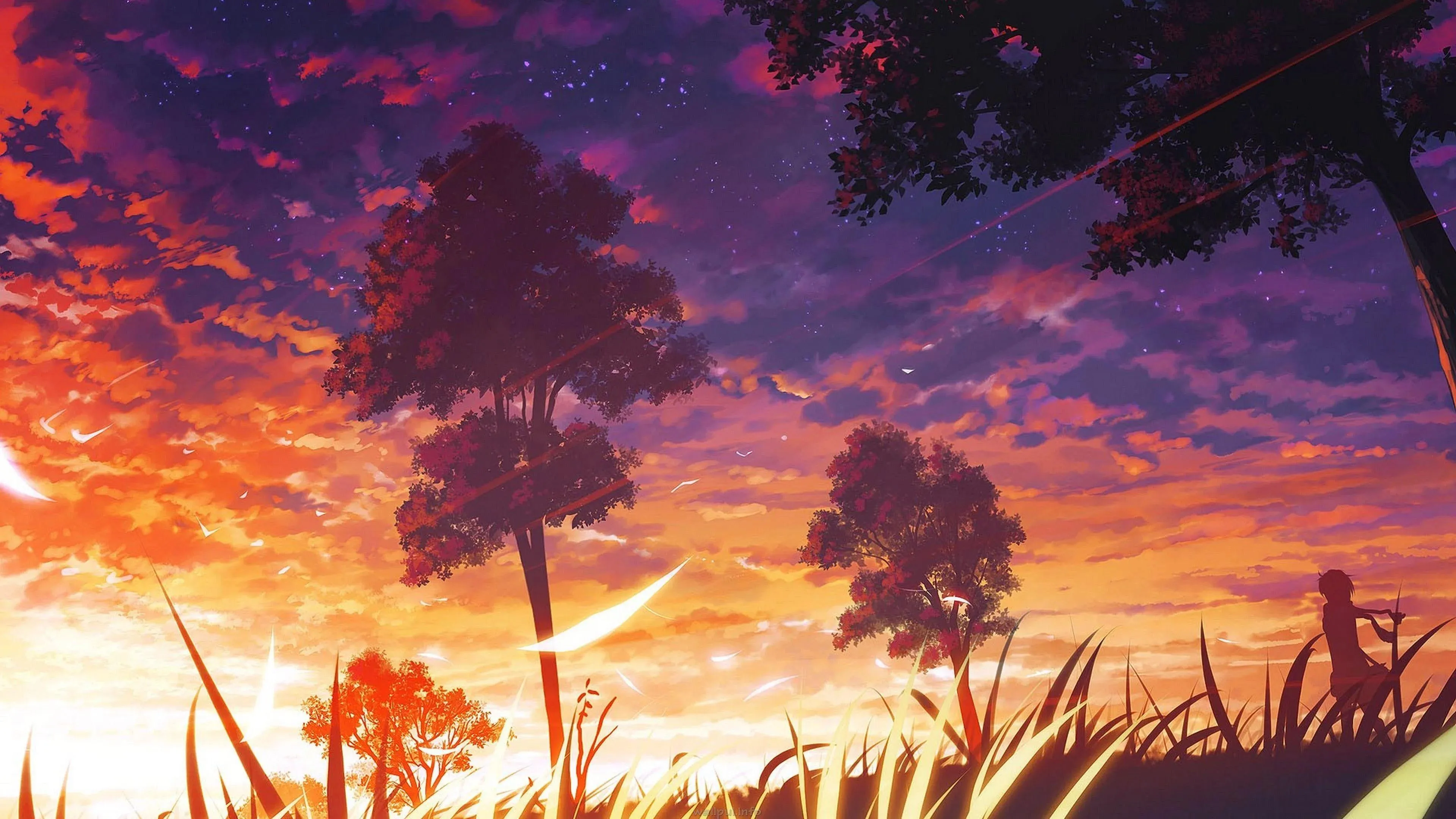 Beautiful Sunset Landscape with Trees and Clouds Wallpaper